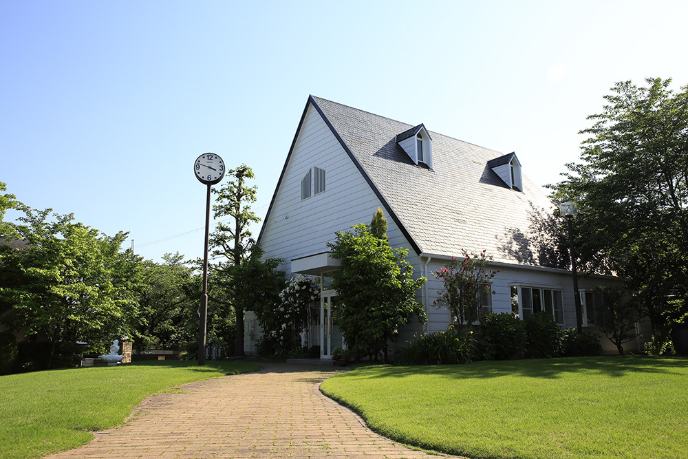 日東薬品工業株式会社